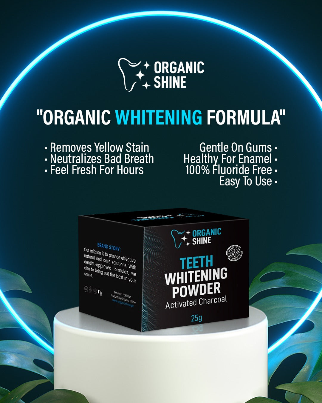 Activated Charcoal Teeth Whitening Powder